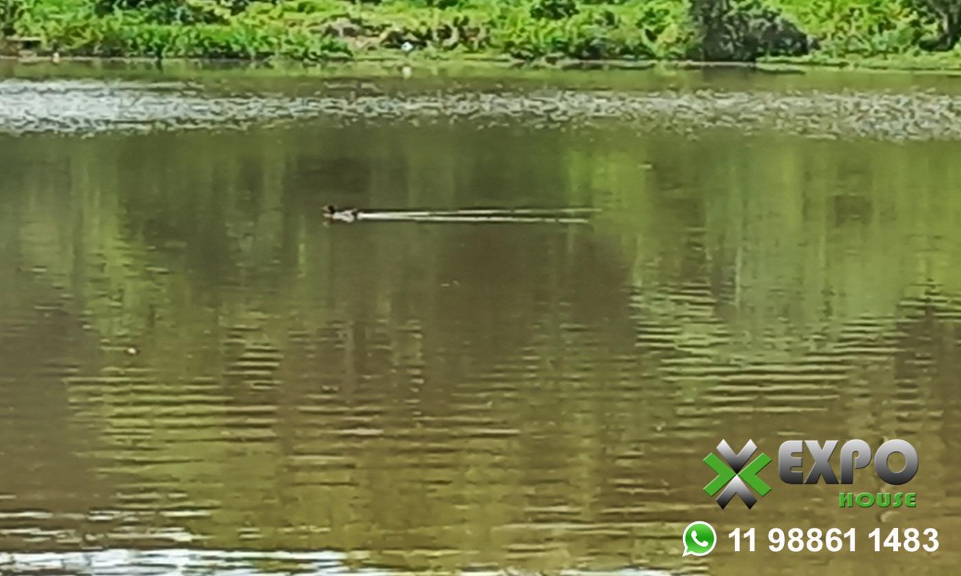 Terreno, 500 m² - Foto 16