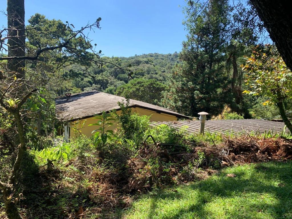 Sítio, 3 quartos, 3 hectares - Foto 2