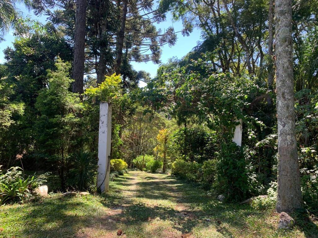 Sítio, 3 quartos, 3 hectares - Foto 8